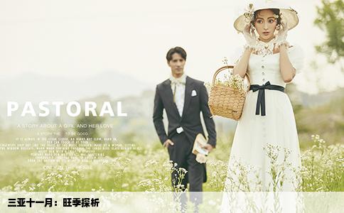 三亞十一月：旺季探析