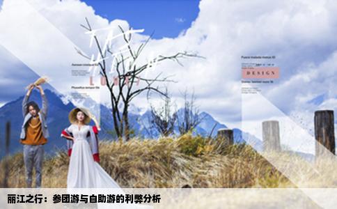 麗江之行：參團游與自助游的利弊分析